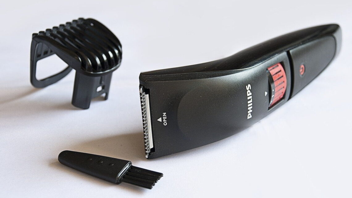 Top 10 Visa Free Countries for Indians 15 best trimmers for men