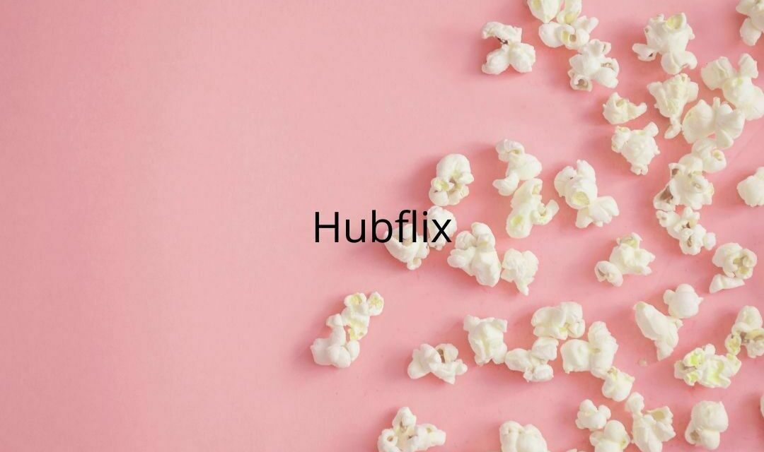 Hubflix – A Broad Overview on this Illegal Pirated Movie Website 15 Hubflix