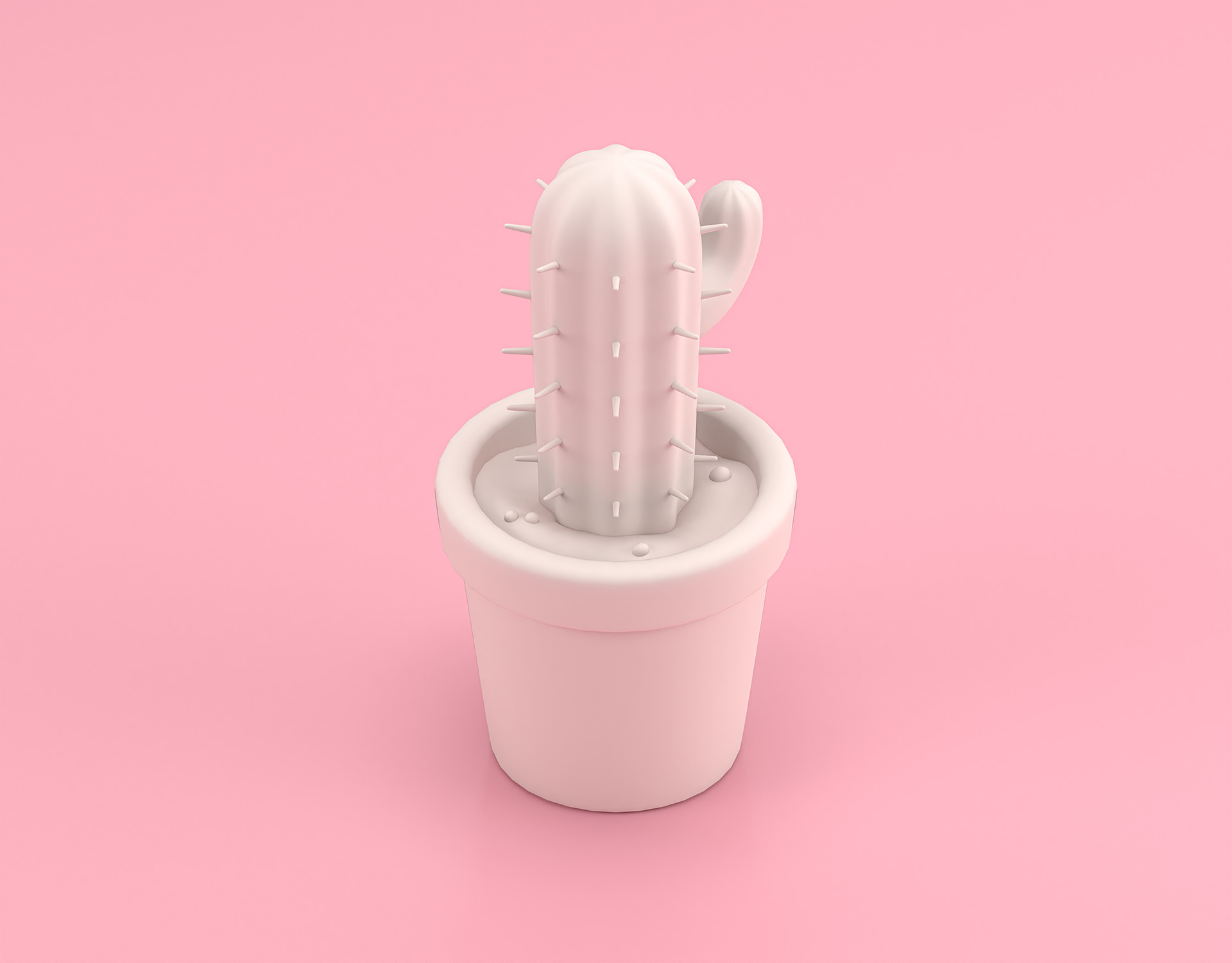 Contact Us 18 Instagram image