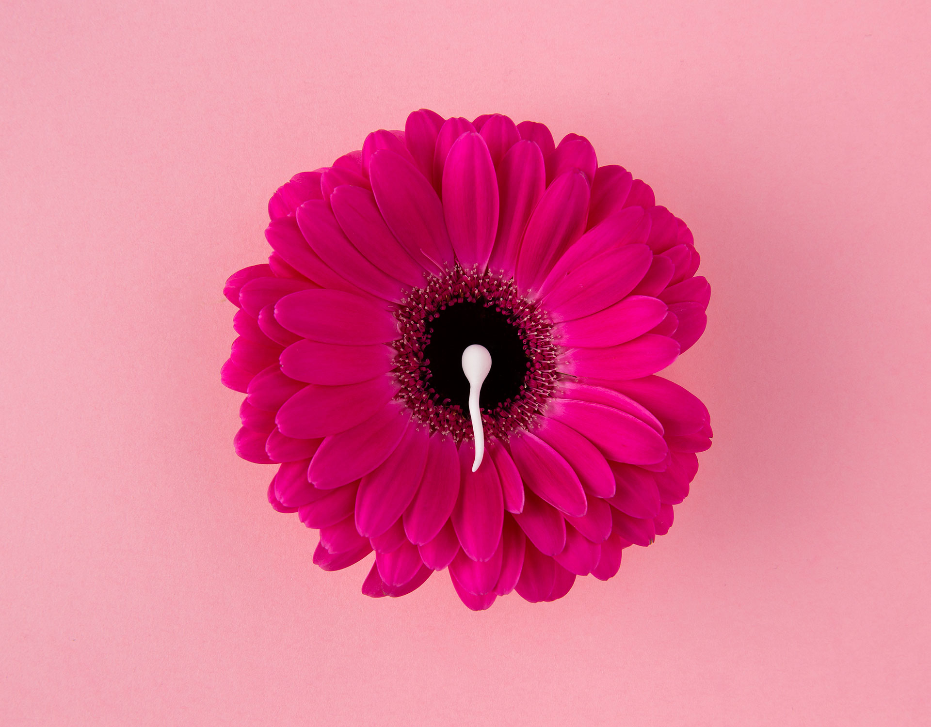 Contact Us 16 Instagram image